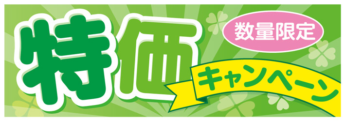 Fnet-1特価春